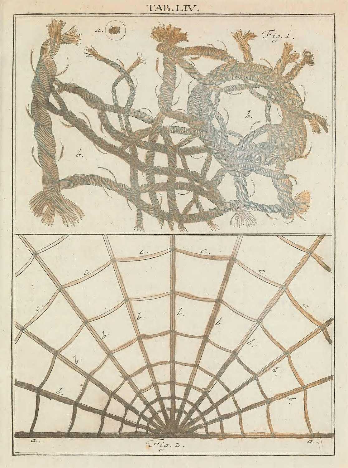 <p>Martin Frobenius Ledermüller’s Microscopic Delights, 1759–1763</p>