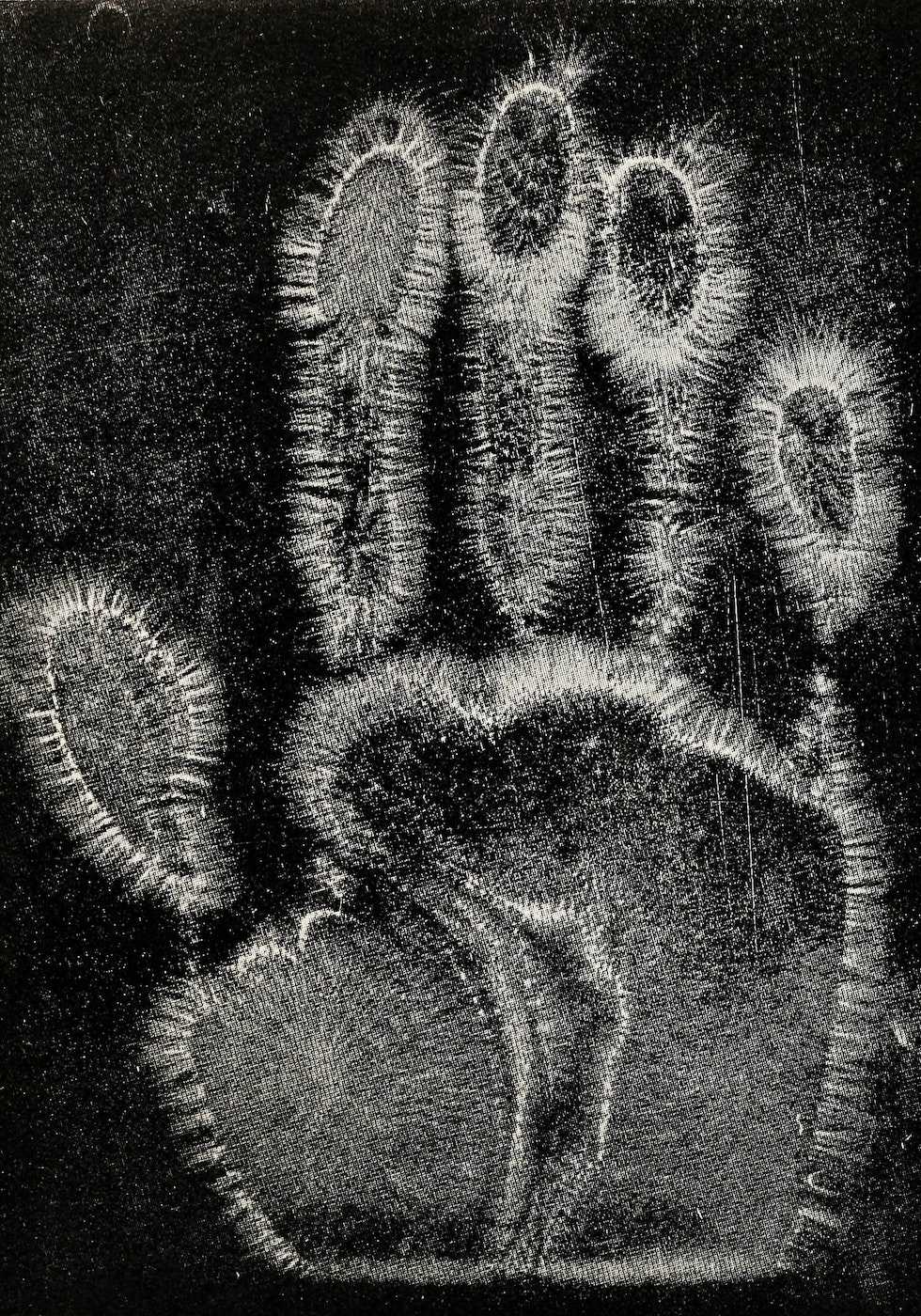 <p>Hippolyte Baraduc, The Human Soul</p>