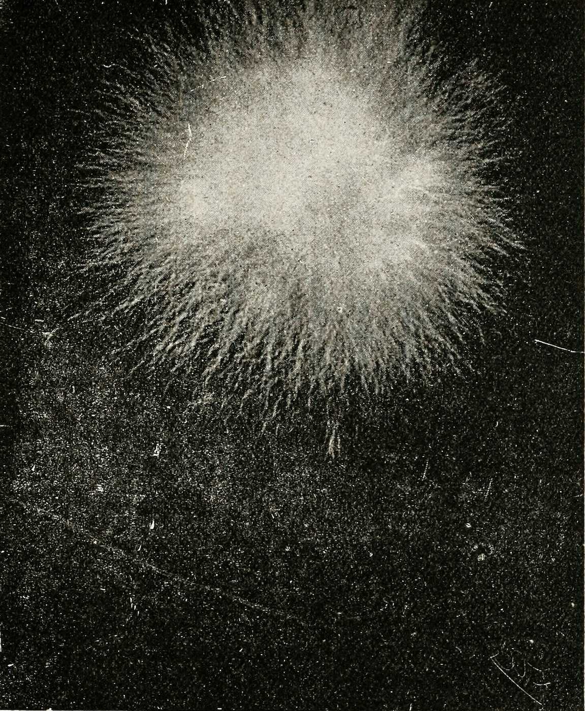 <p>Hippolyte Baraduc, The Human Soul, 1913</p>